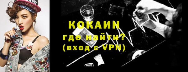 крисы Бородино