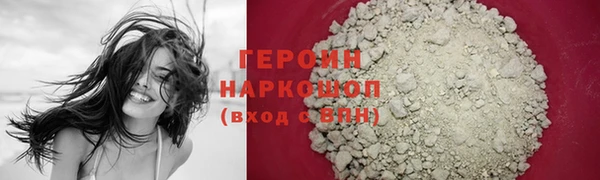 крисы Бородино