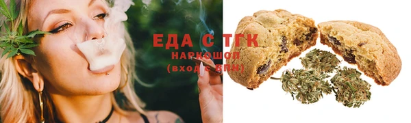 крисы Бородино
