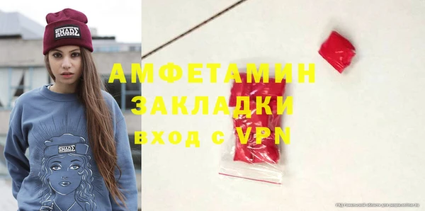 крисы Бородино