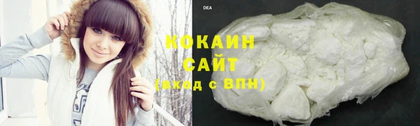 крисы Бородино