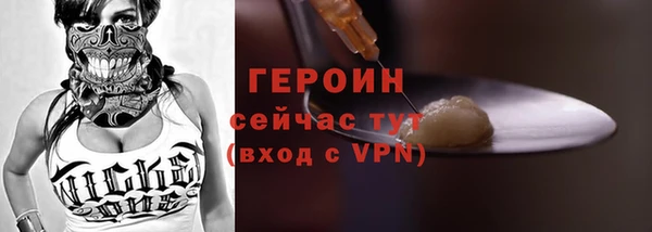 крисы Бородино