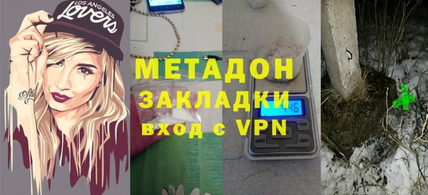 крисы Бородино