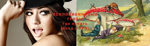 spice Бронницы
