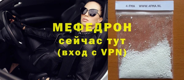 крисы Бородино
