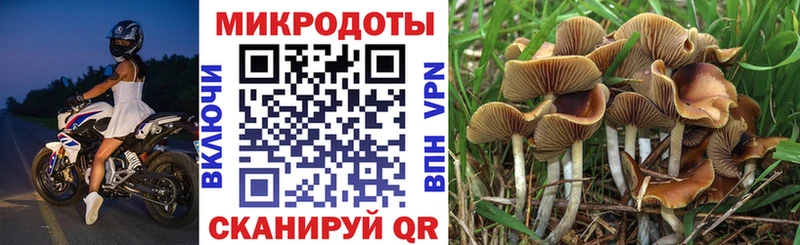 Галлюциногенные грибы MAGIC MUSHROOMS  OMG сайт  Коммунар 